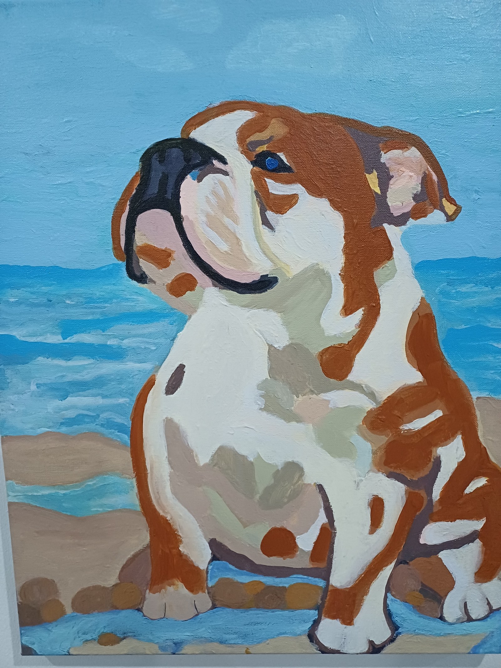 No 8 doggy at the beach 
