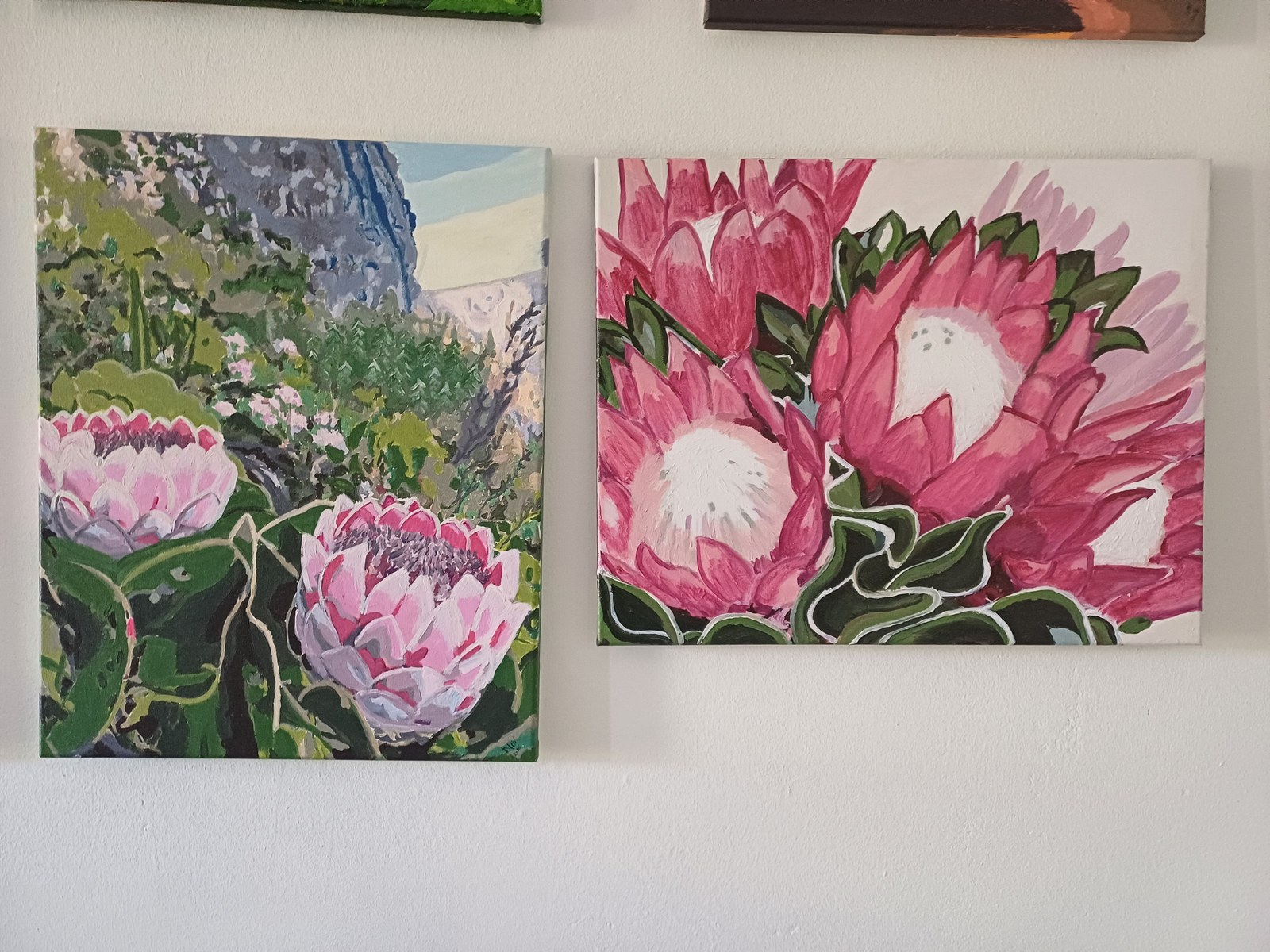 No 12 Spring for me is Protea's