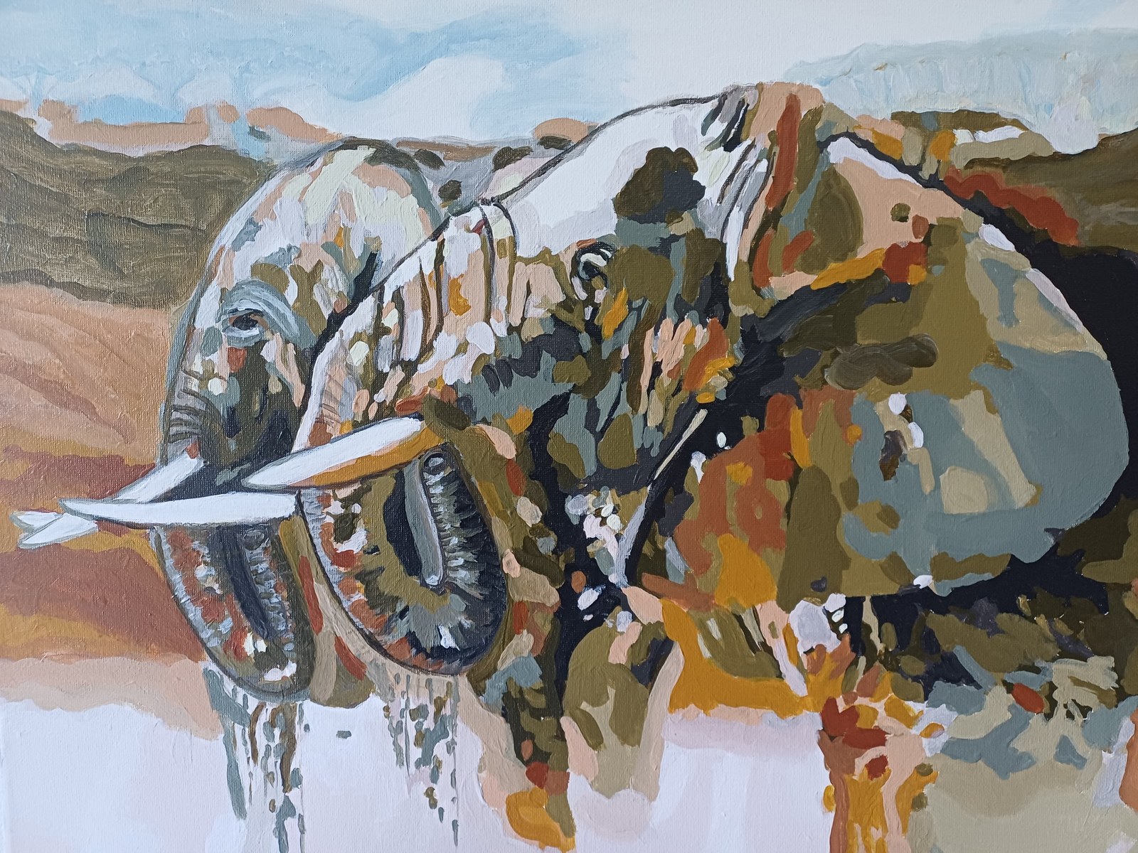 No 16. Elephants drinking water 